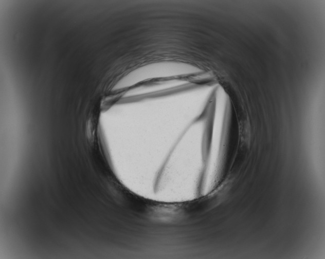 X0000082940086200703020137