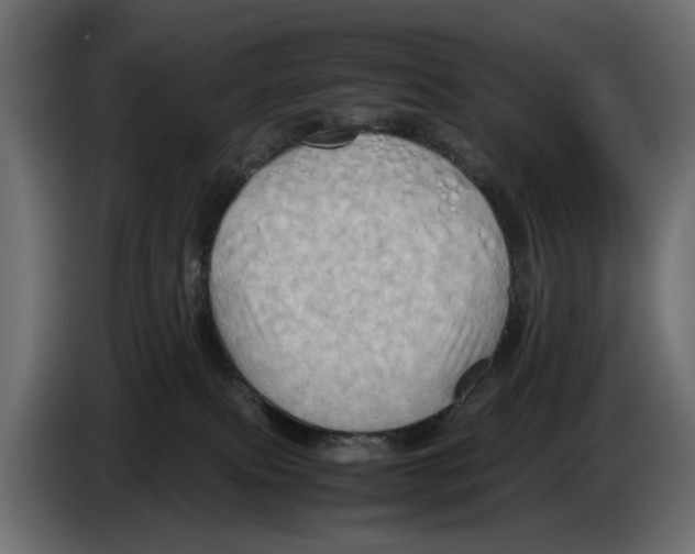 X0000082940087200703020137