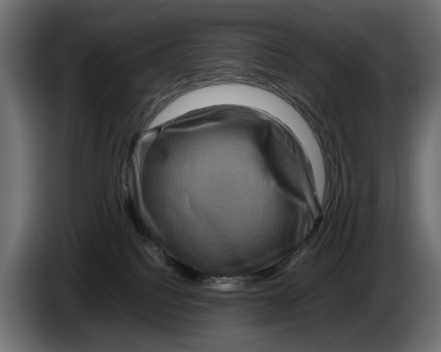 X0000082940088200703020137