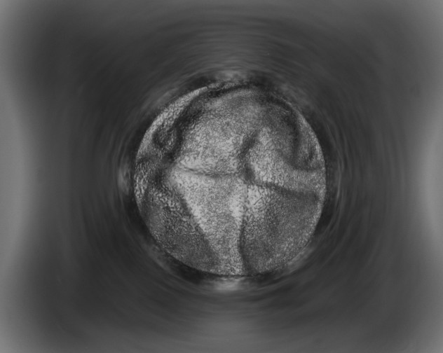 X0000082940090200703020137