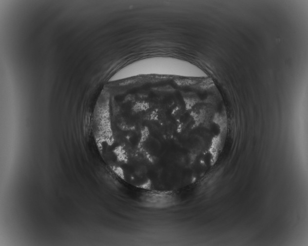 X0000082940093200703020137