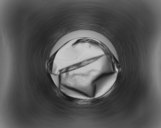 X0000082940094200703020137