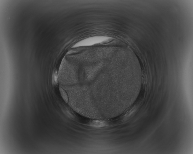 X0000082940095200703020137