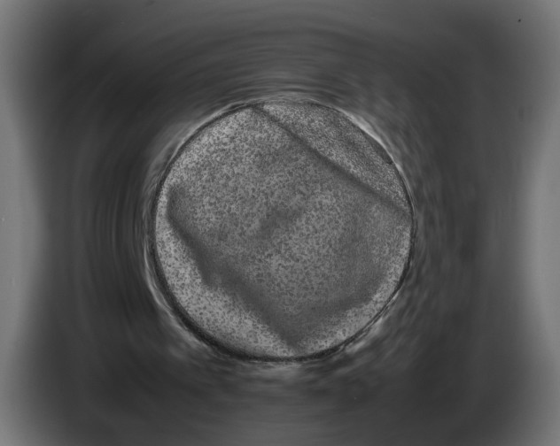 X0000082940097200703020136