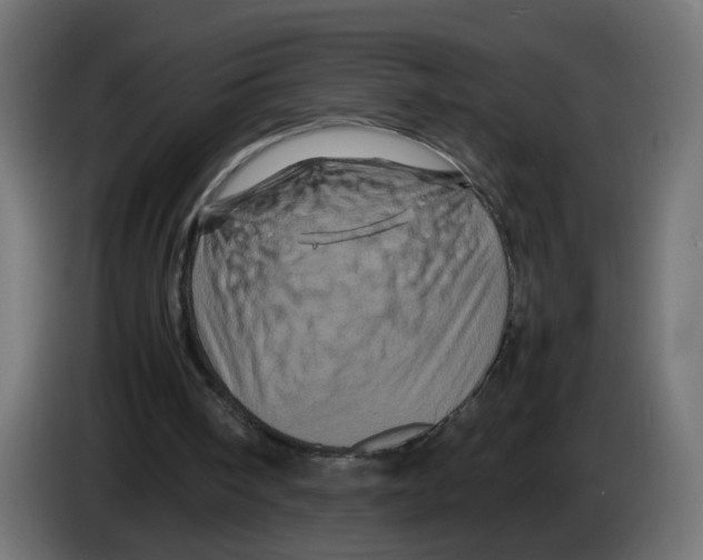 X0000082940098200703020136