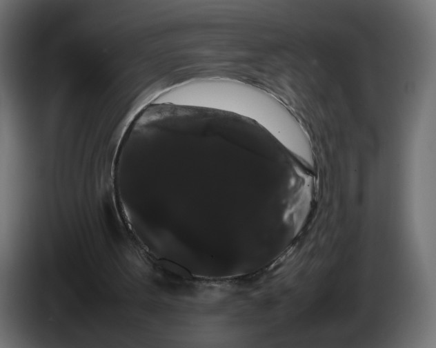 X0000082940099200703020136