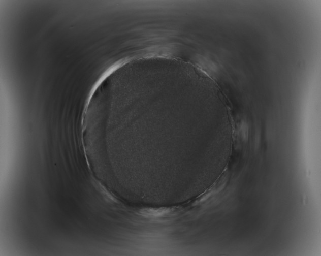 X0000082940100200703020136