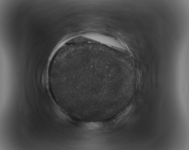 X0000082940102200703020136