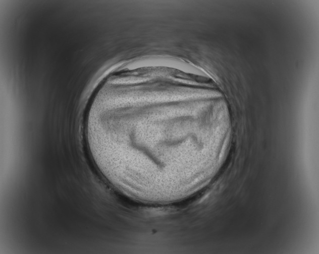 X0000082940103200703020136