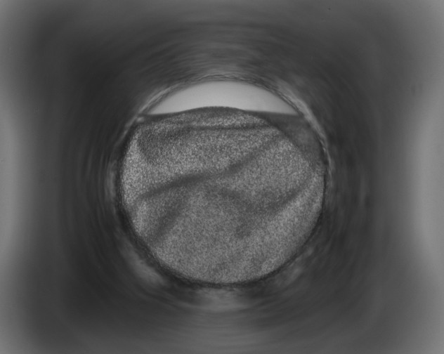 X0000082940106200703020136