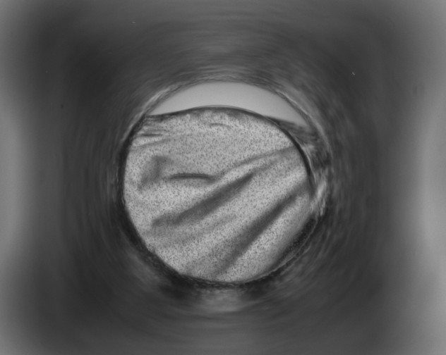 X0000082940107200703020136