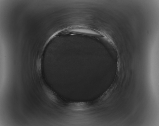 X0000082940108200703020136