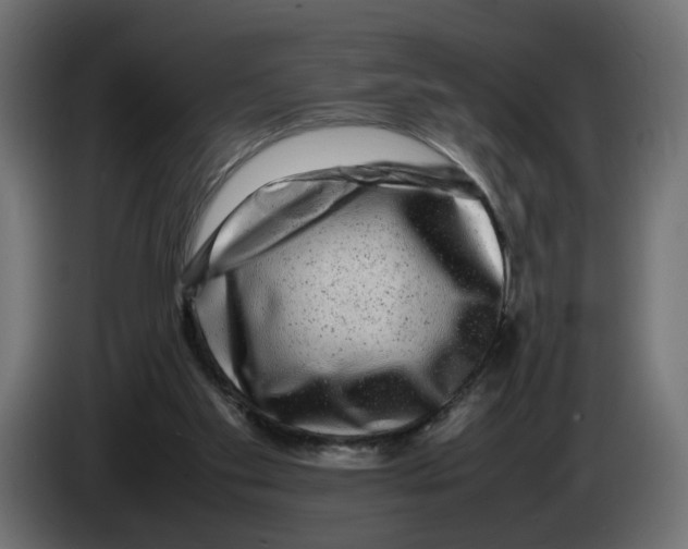 X0000082940109200703020136