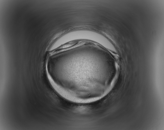 X0000082940111200703020136