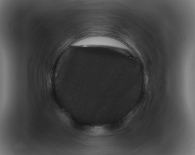 X0000082940114200703020136