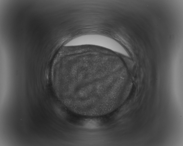 X0000082940115200703020136