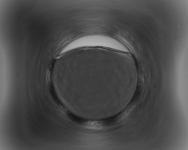 X0000082940117200703020136