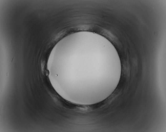 X0000082940118200703020136