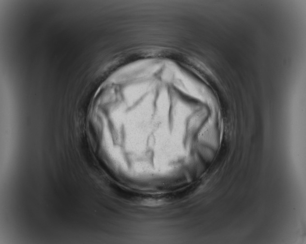 X0000082940119200703020136