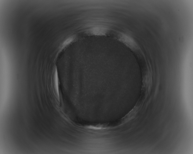 X0000082940120200703020136