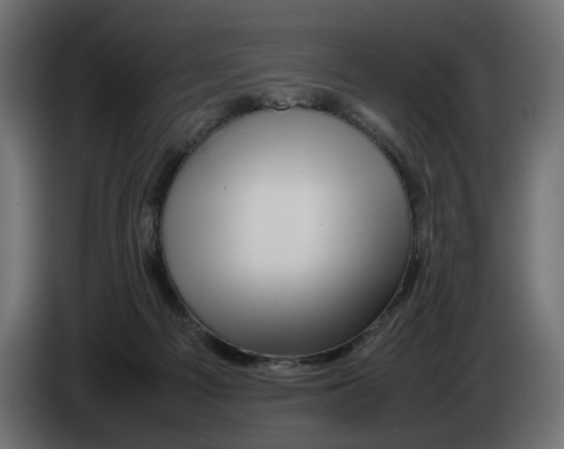 X0000082940121200703020136