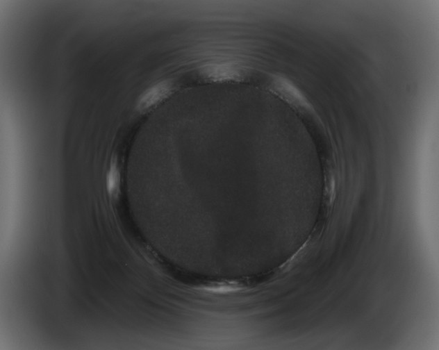 X0000082940124200703020136