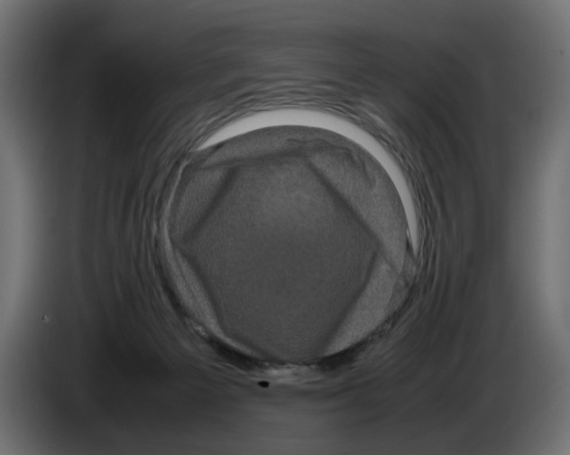 X0000082940125200703020136