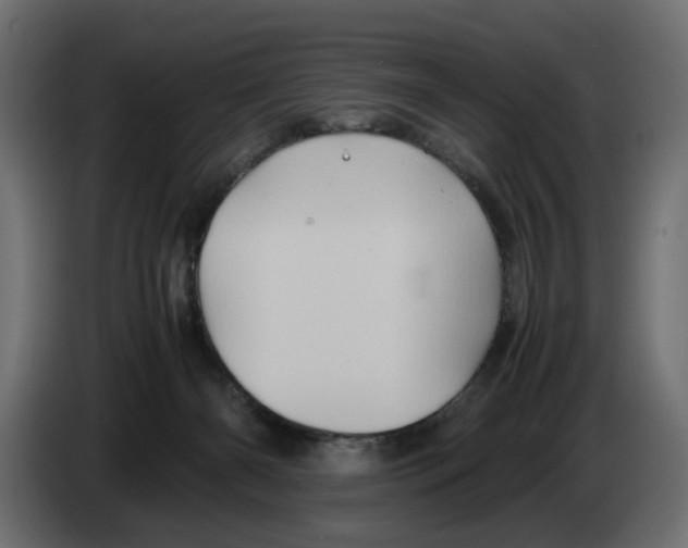 X0000082940126200703020136