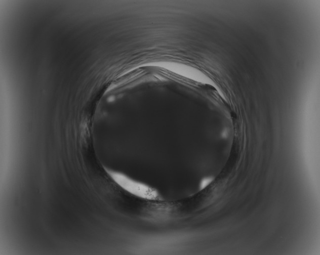 X0000082940127200703020135