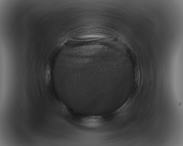 X0000082940128200703020135