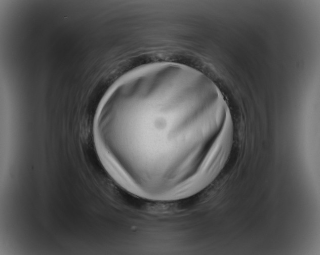 X0000082940129200703020135