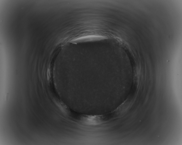 X0000082940130200703020135