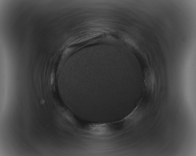 X0000082940132200703020135