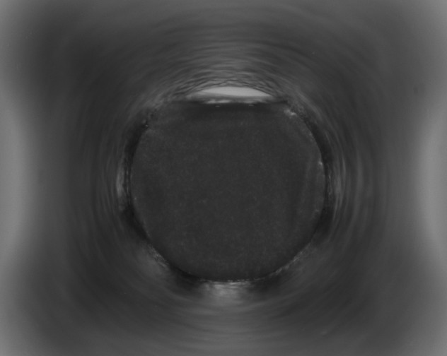 X0000082940134200703020135