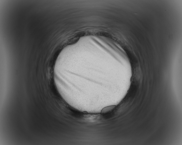 X0000082940135200703020135