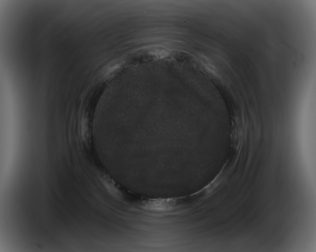 X0000082940136200703020135