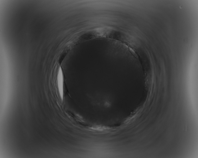 X0000082940137200703020135