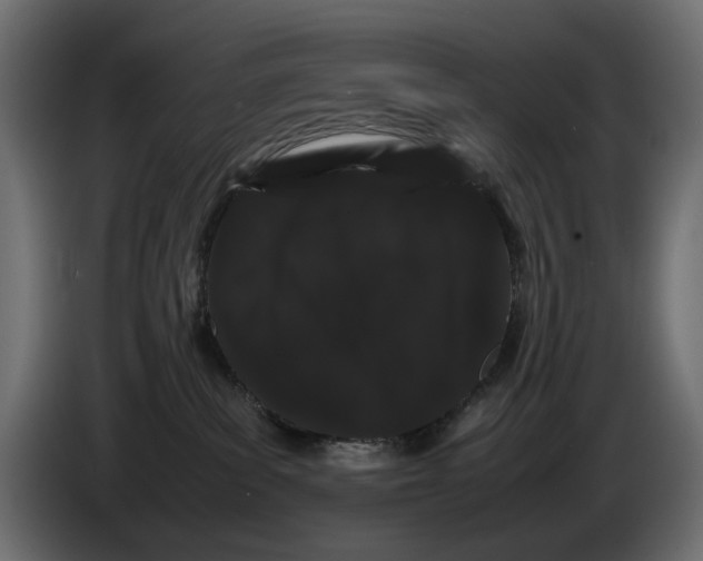 X0000082940139200703020135