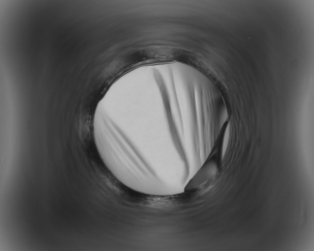 X0000082940141200703020135