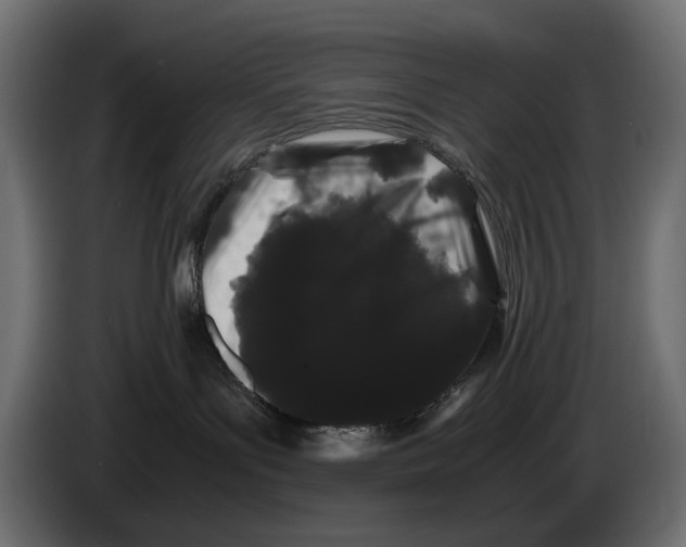 X0000082940143200703020135