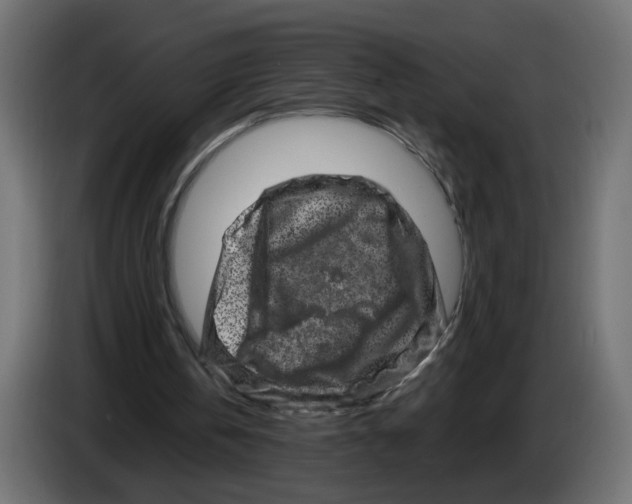 X0000082940146200703020135