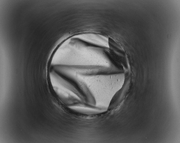 X0000082940148200703020135