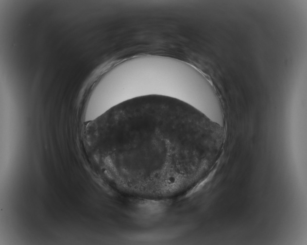 X0000082940149200703020135