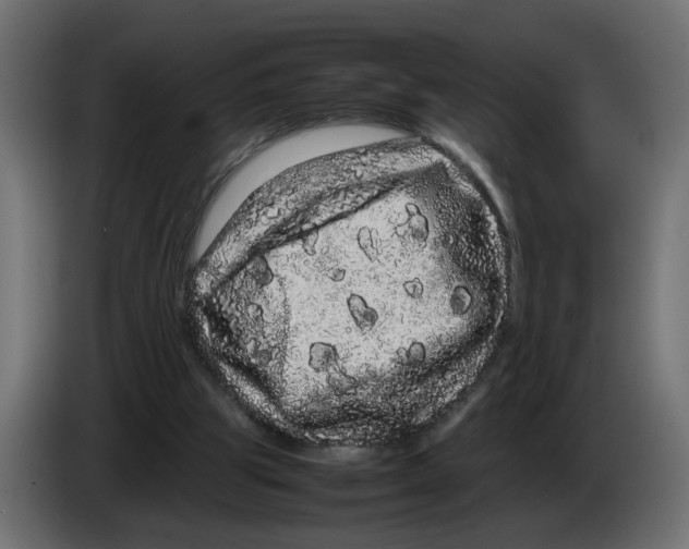 X0000082940153200703020135