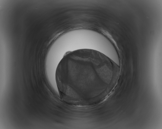 X0000082940154200703020135