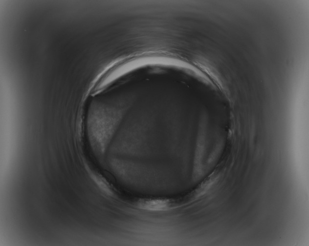 X0000082940156200703020135