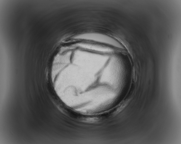 X0000082940157200703020135