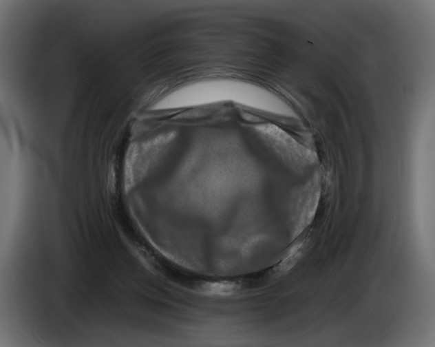 X0000082940158200703020135