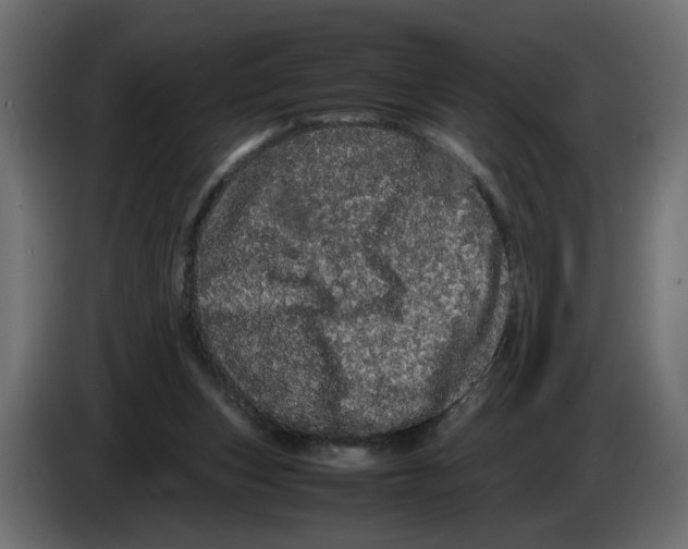 X0000082940159200703020135