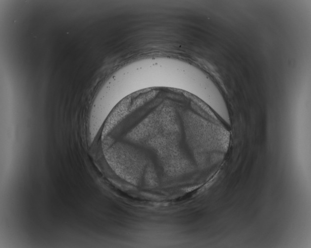 X0000082940162200703020135